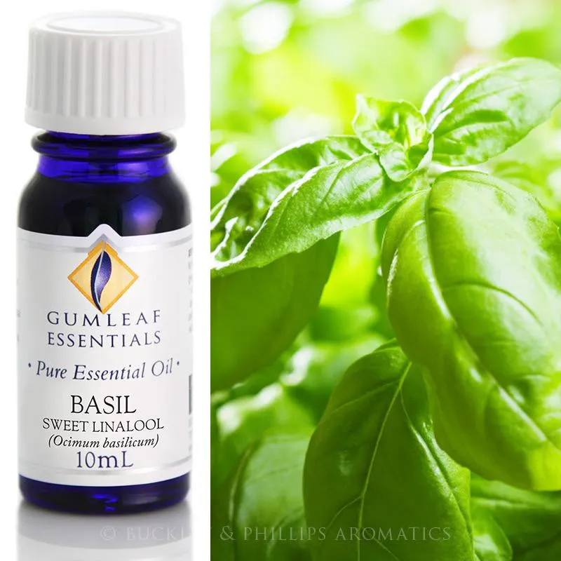 Basil Essential Oil Gumleaf 10ml