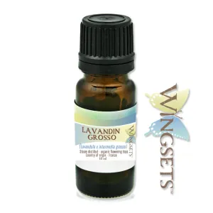 Lavandin Grosso essential oil (Lavandula x intermedia grosso)