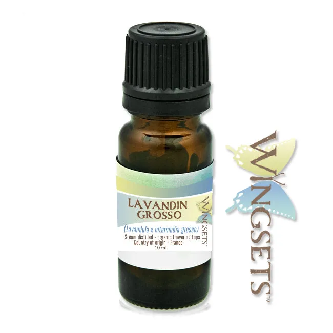 Lavandin Grosso essential oil (Lavandula x intermedia grosso)